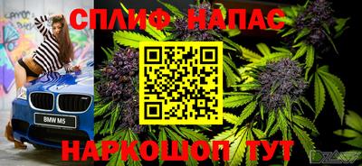PSILOCYBIN Кинель
