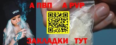 эйфоретик Кингисепп