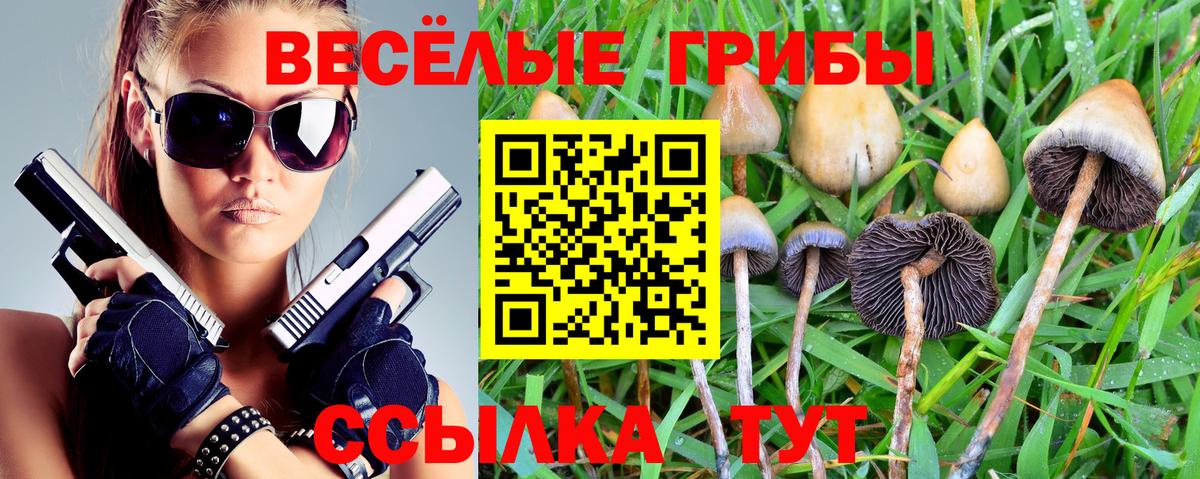 Псилоцибиновые грибы GOLDEN TEACHER  Вход с VPN  Галлюциногенные грибы Cubensis  Ивантеевка 